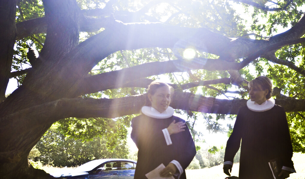 to præster udenfor i modlys