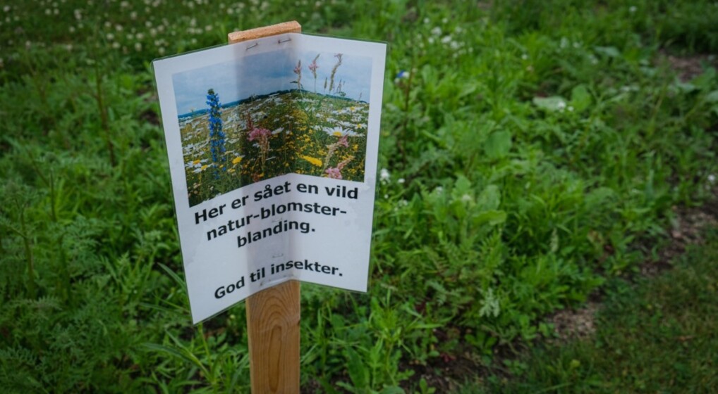 Brøndbyøster Kirkegård